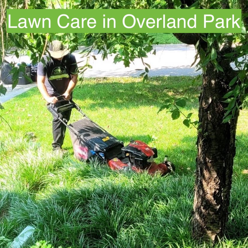 Lawn Care in Overland Park