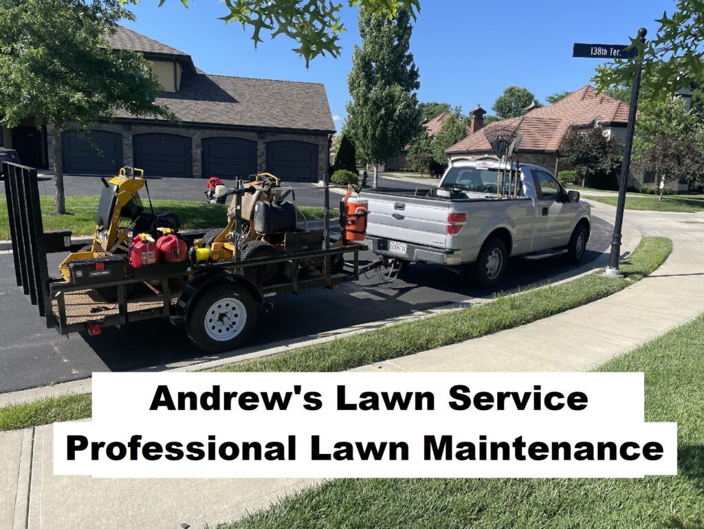 Professional Lawn Maintenance