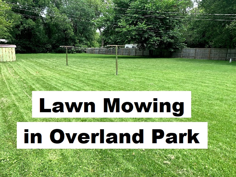 Lawn mowing in Overland Park