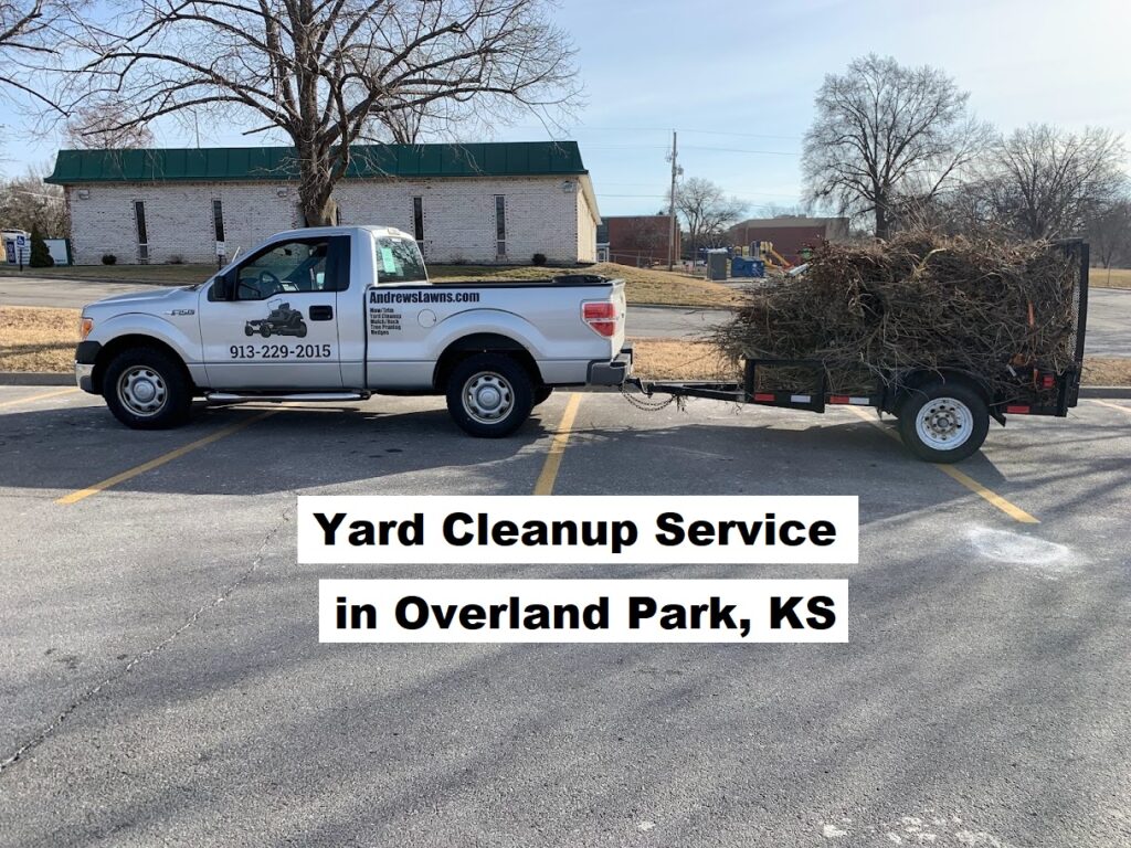 Yard Cleanup 
