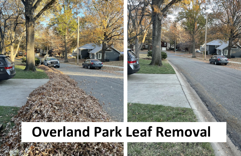 Overland Park Leaf Removal