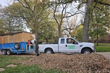 Leaf Removal by Andrew's Lawn Service